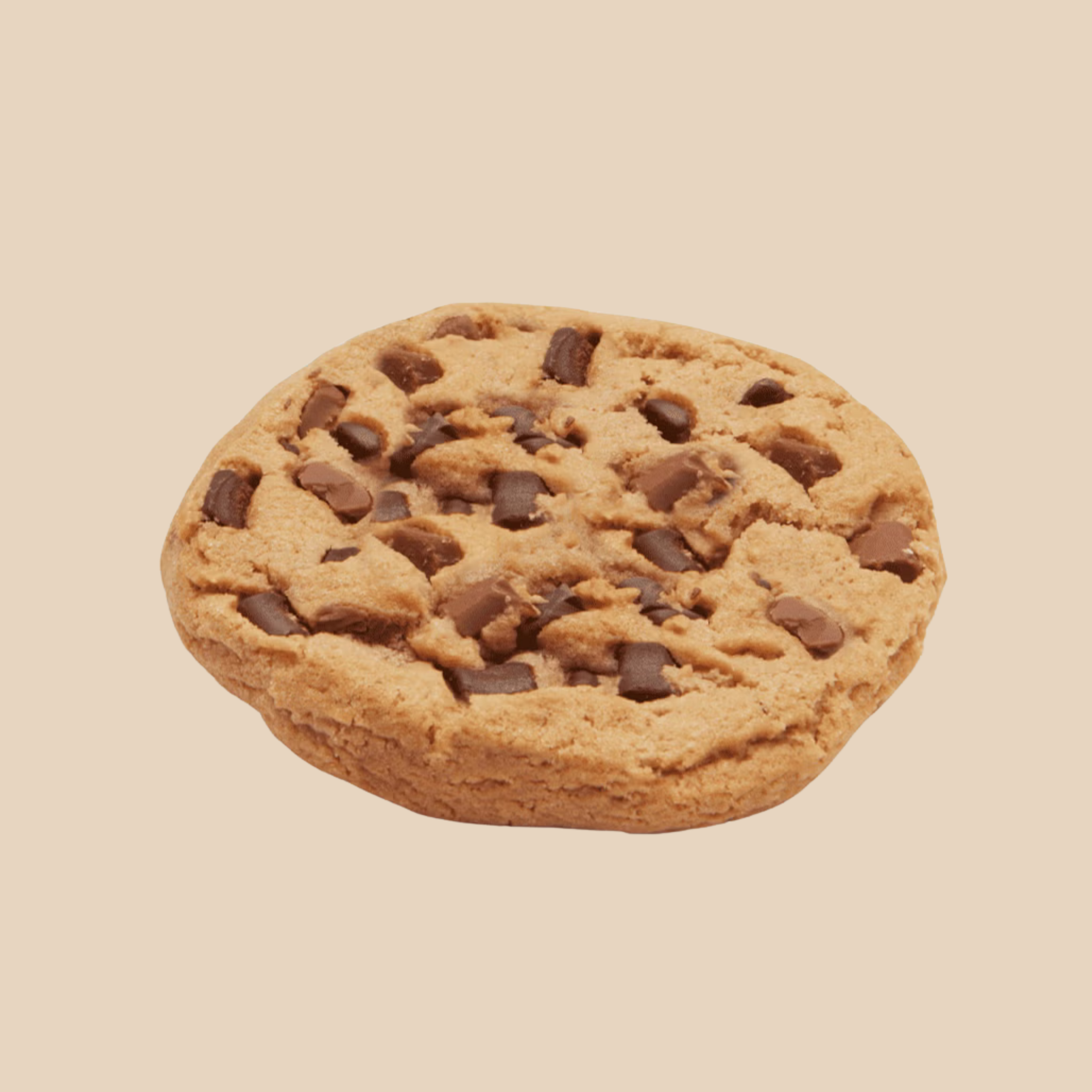 Double chocolate cookie